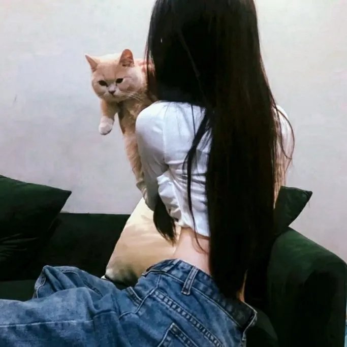 越冬的露易丝 热播封面